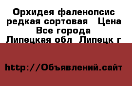 Орхидея фаленопсис редкая сортовая › Цена ­ 800 - Все города  »    . Липецкая обл.,Липецк г.